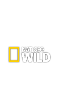NAT Geo Wild