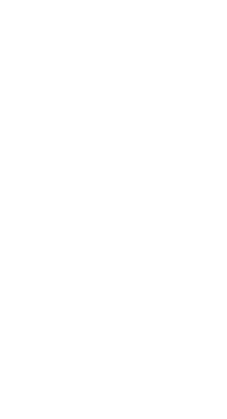 Наше новое кино
