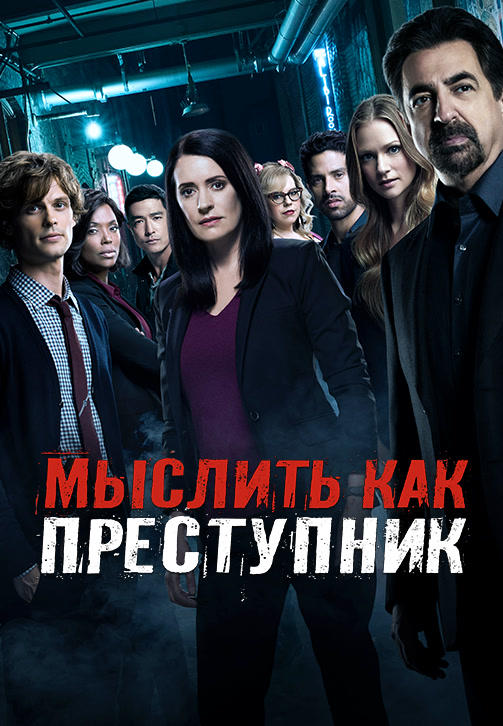 Мыслить как преступник. Сезон 13. Серия 6