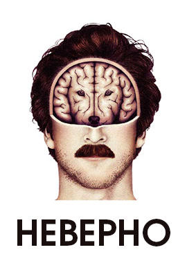 Неверно